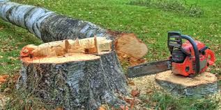 Best Firewood Processing and Delivery  in Mauriceville, TX